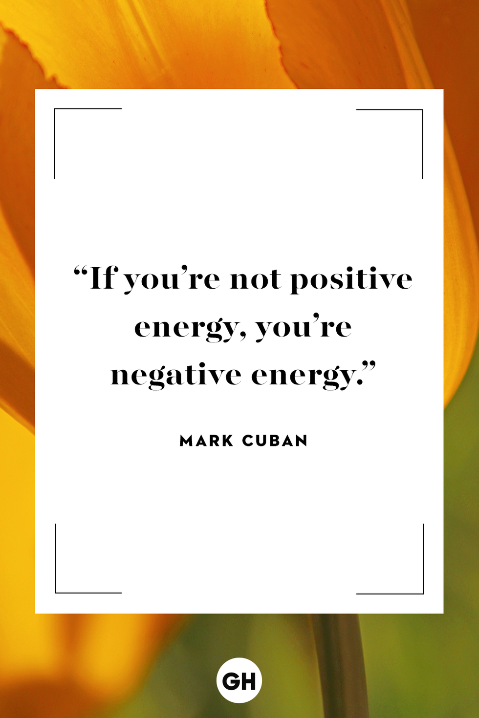 inspirational quotes  mark cuban