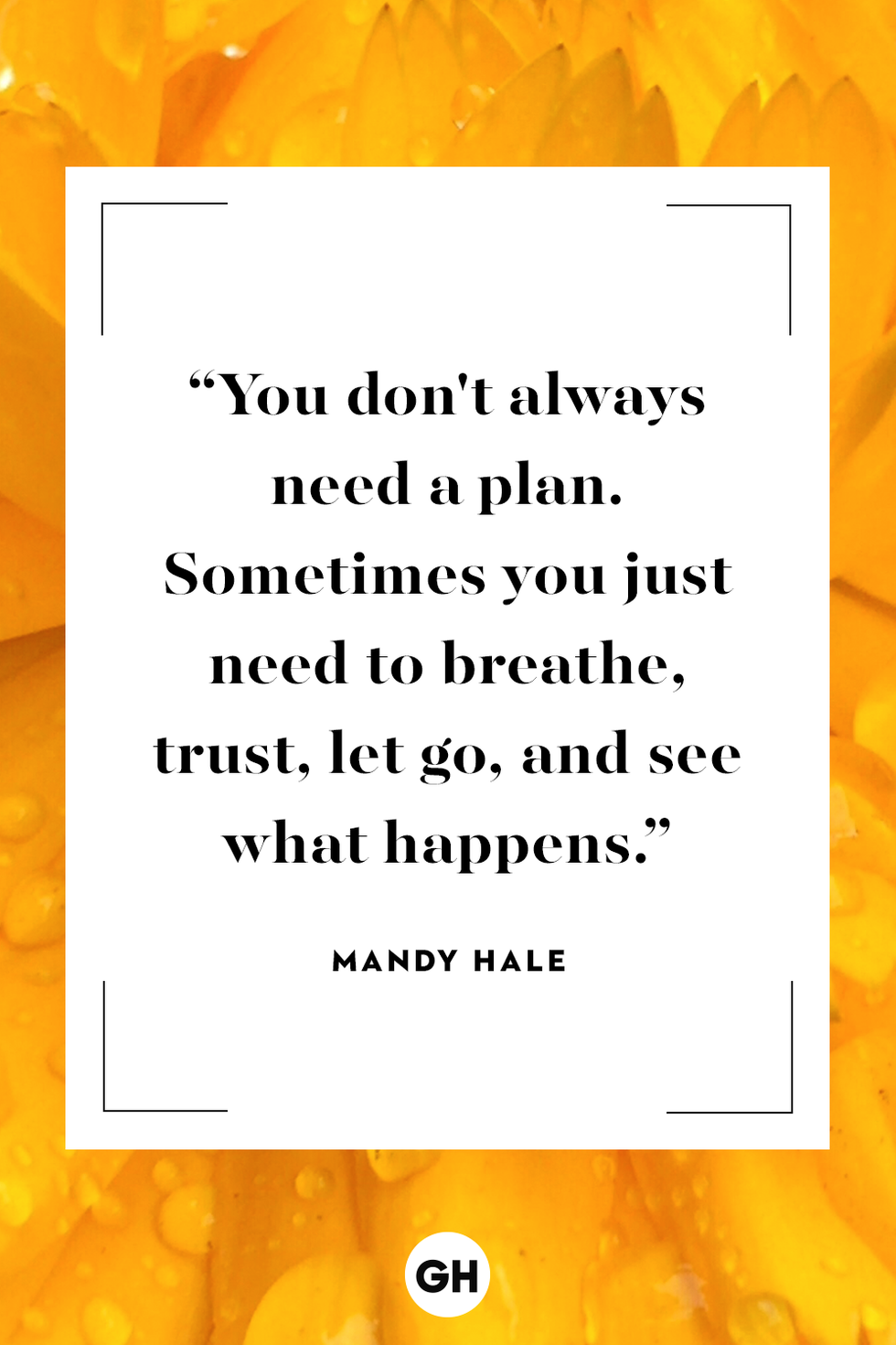 Mandy Hale inspirational quote