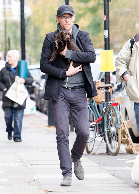 Tom Hiddleston Steps Out With Puppy - Tom Hiddleston Photo Ahead of ...