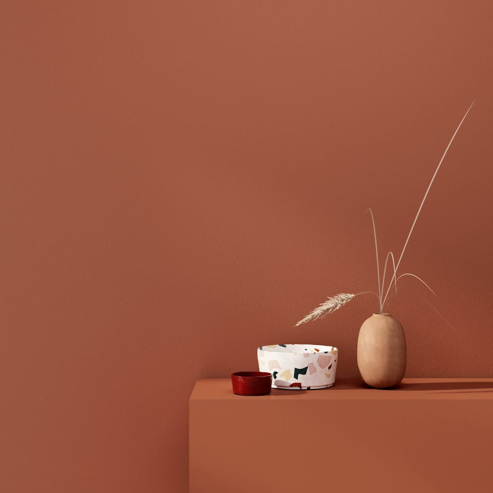 paint colors 2020- terracotta wall