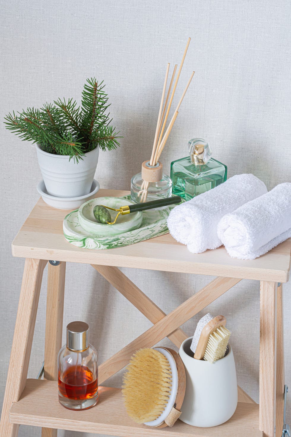 shot of beauty products, towels, and a plant resting on a ladder shelf in a bathroom
