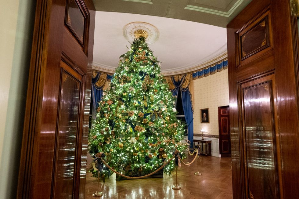 メラニア夫人がホワイトハウスのクリスマスツリーを公開、クラシックカラーで華やかに