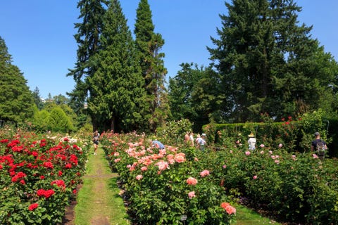 The 12 Most Beautiful Botanical Gardens in the US