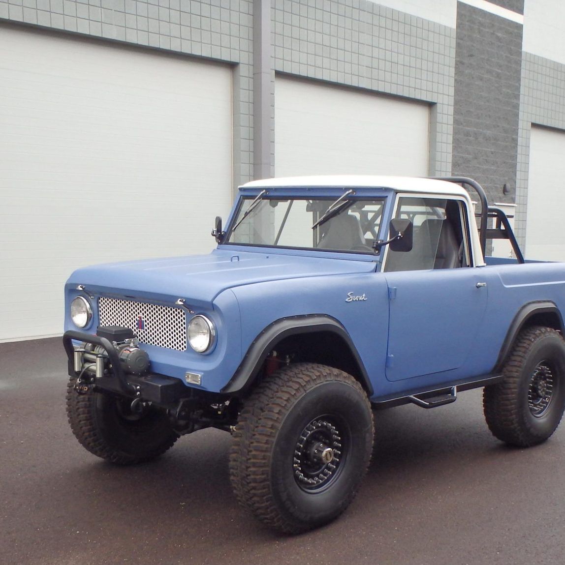international scout ii cage