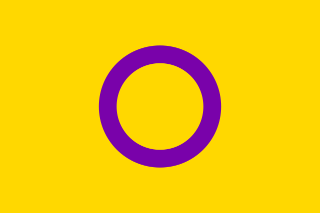 lgbtq intersex flag