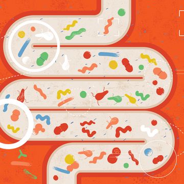 intestinal and bad bacteria