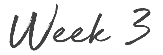 week 3
