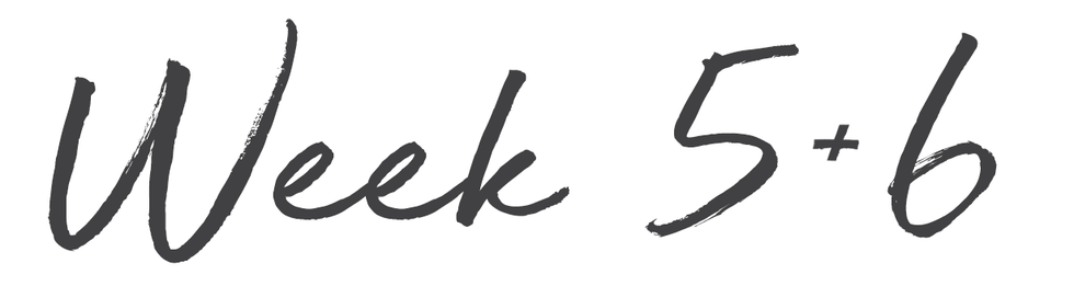 week 5/6
