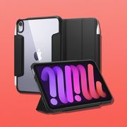 spigen ipad mini case
