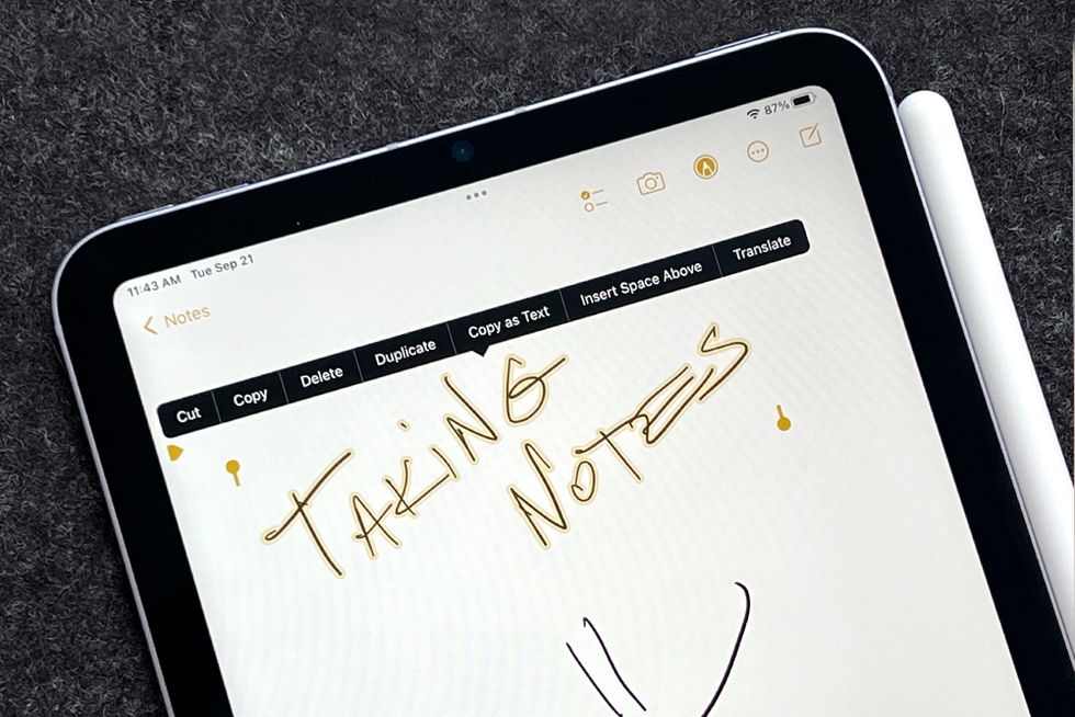 apple ipad mini notes with stylus