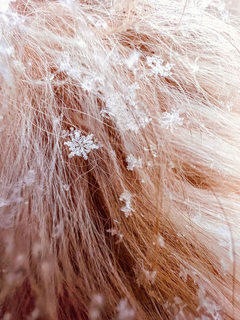 snowflakes in hair