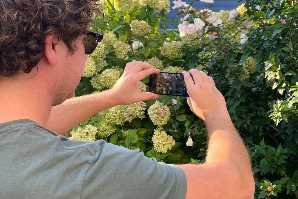 brandon using iphone 13 mini to take photos of hydrangea