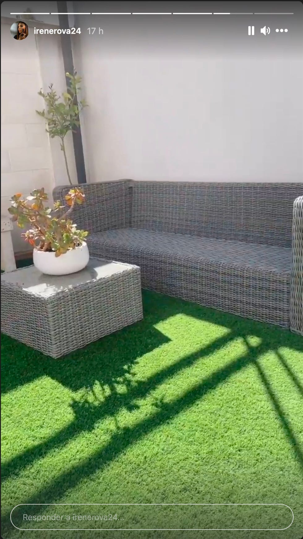 irene rosales muestra el rincón favorito de su casa su jardín