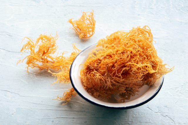 irish sea moss, chondrus crispus, healthy organic raw seaweed, dried