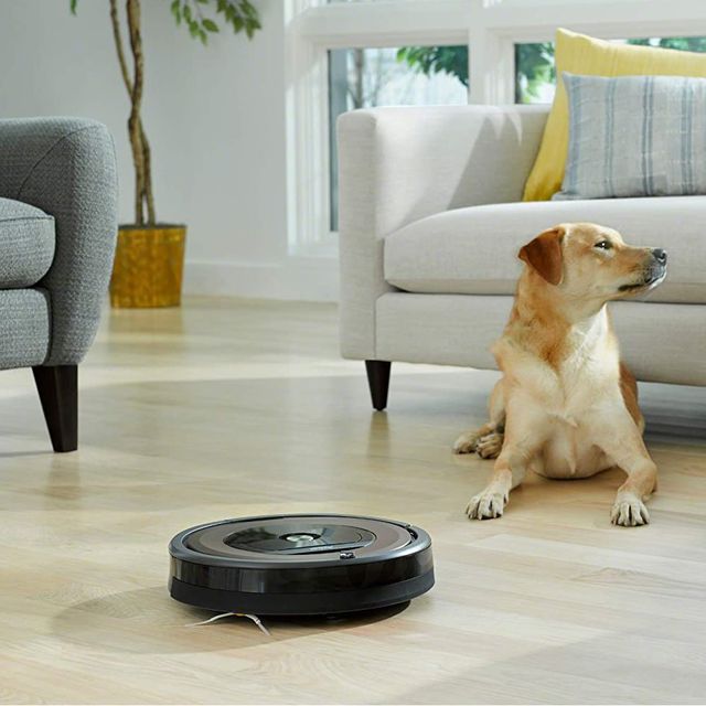 irobot roomba 960 on living room floor with dog