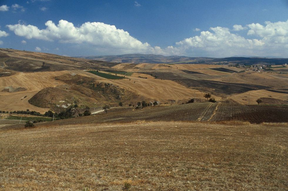 view of cultivated fields in the countryside in irpinia, campania, italy