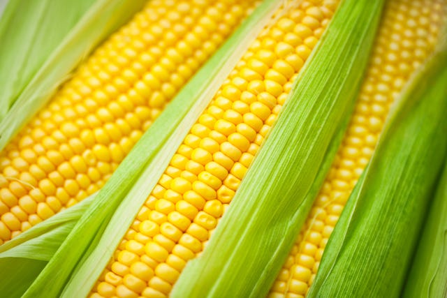 is-corn-a-grain-yes-and-it-s-also-a-fruit-and-a-vegetable