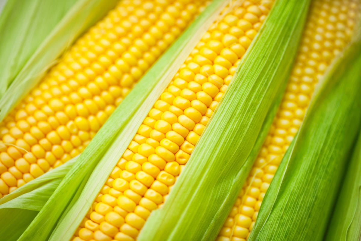 is-corn-a-grain-yes-and-it-s-also-a-fruit-and-a-vegetable