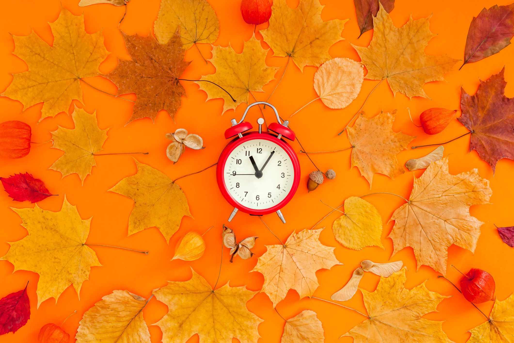 Get ready to 'fall back' this weekend as Daylight Saving Time ends