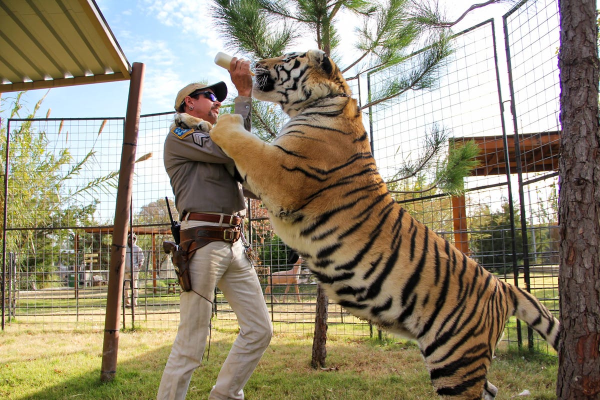 Is Tiger King's G.W. Zoo Still Open in 2021? Here's What We Know