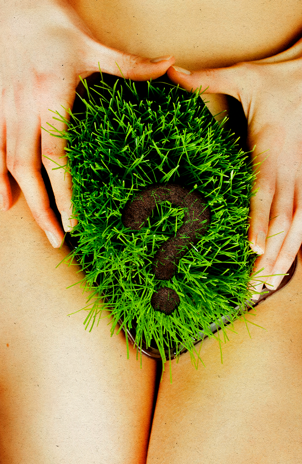 Your Pubic Hair Poses a Problem. It's time to have the manscaping… | by  Aliya S. King | LEVEL