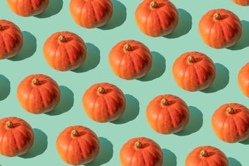 is pumpkin a fruit what to know