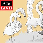 Alta Live: Cartoonist Kate Isenberg alta live cartoonist kate isenberg
