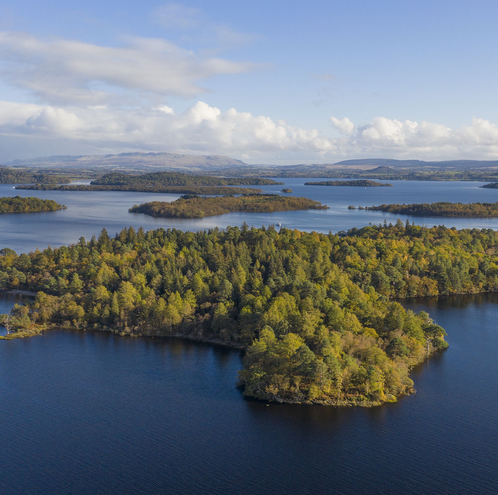 an island of around 103 acres situated off the western shore of southern loch lomond is for sale