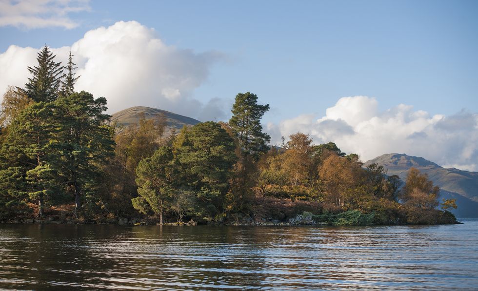 an island of around 103 acres situated off the western shore of southern loch lomond is for sale