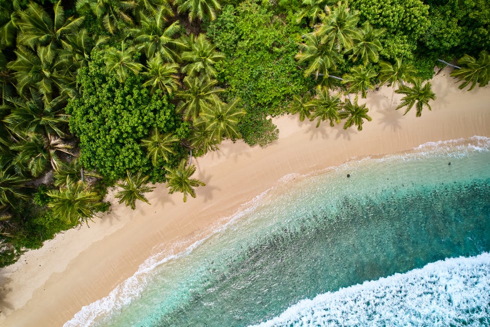 straight down view of palm fringed beach on waya island in the yasawa islands, a volcanic archipeligo located northwest of the fiji mainland, renowned for scuba diving and snorkelling