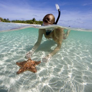 Starfish, Fun, Vacation, Sea, Water, Summer, Leisure, Ocean, Tropics, Photography, 