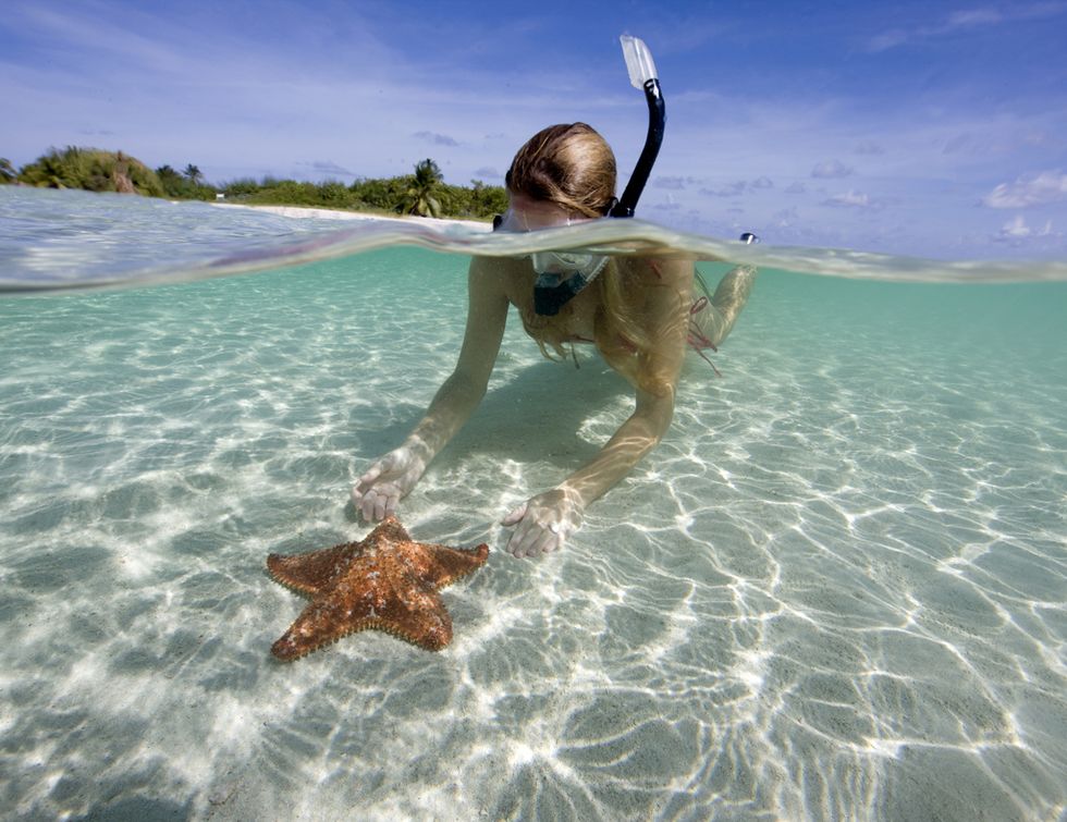 Starfish, Fun, Vacation, Sea, Water, Summer, Leisure, Ocean, Tropics, Photography, 