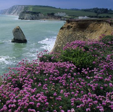 Isle of Wight 