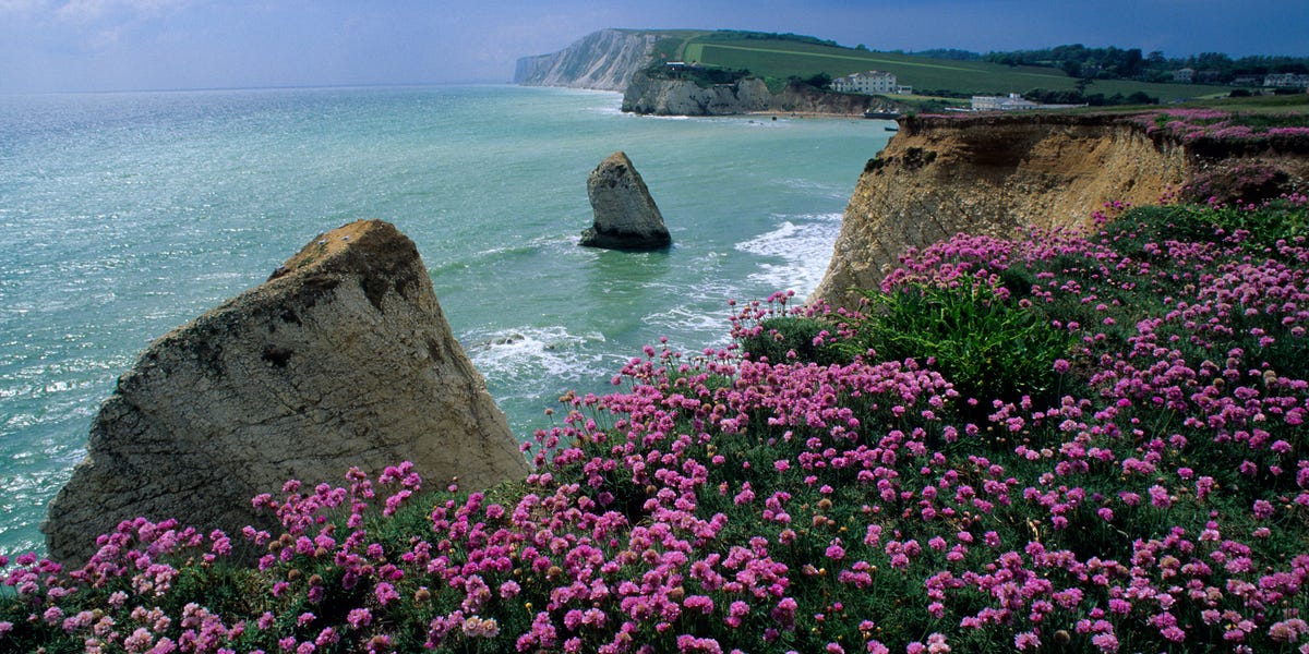 Things to see, do and discover on the Isle of Wight