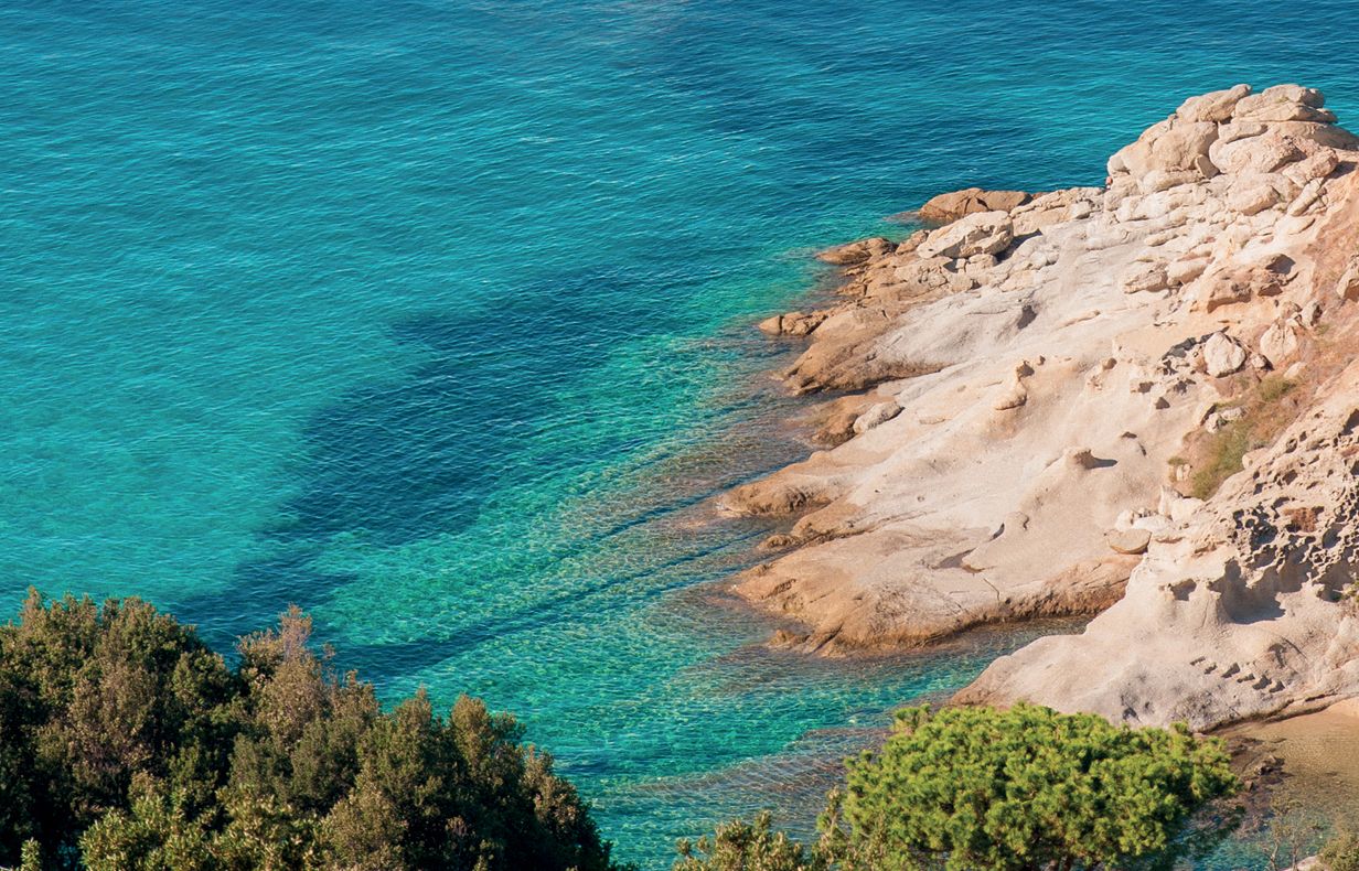 Nasce la Fondazione Acqua dell'Elba: la buona essenza del mare