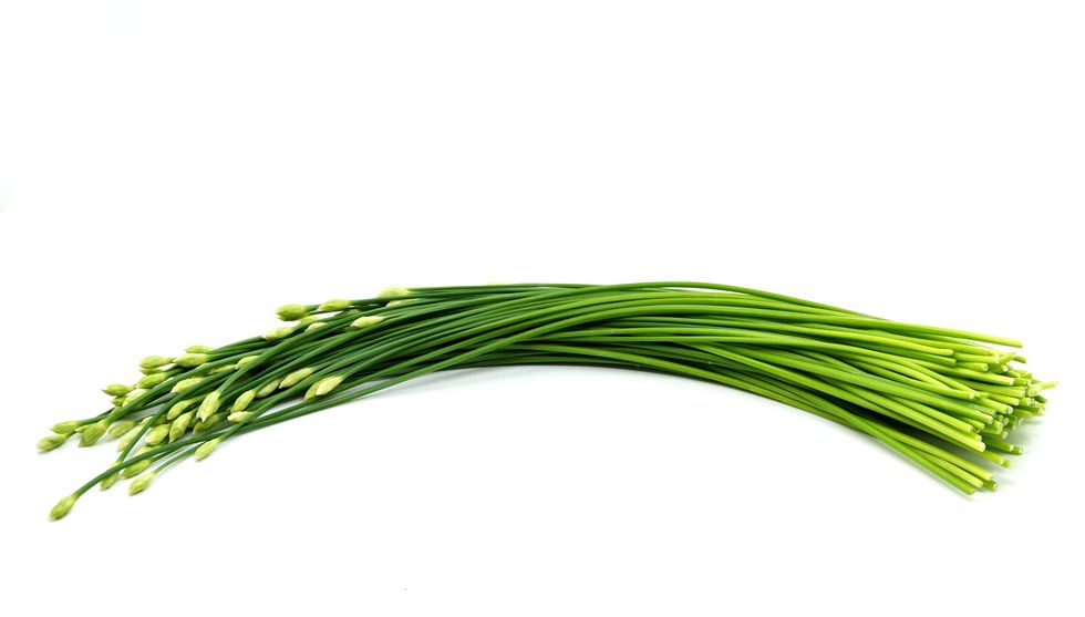 isolated garlic chives or chinese chives