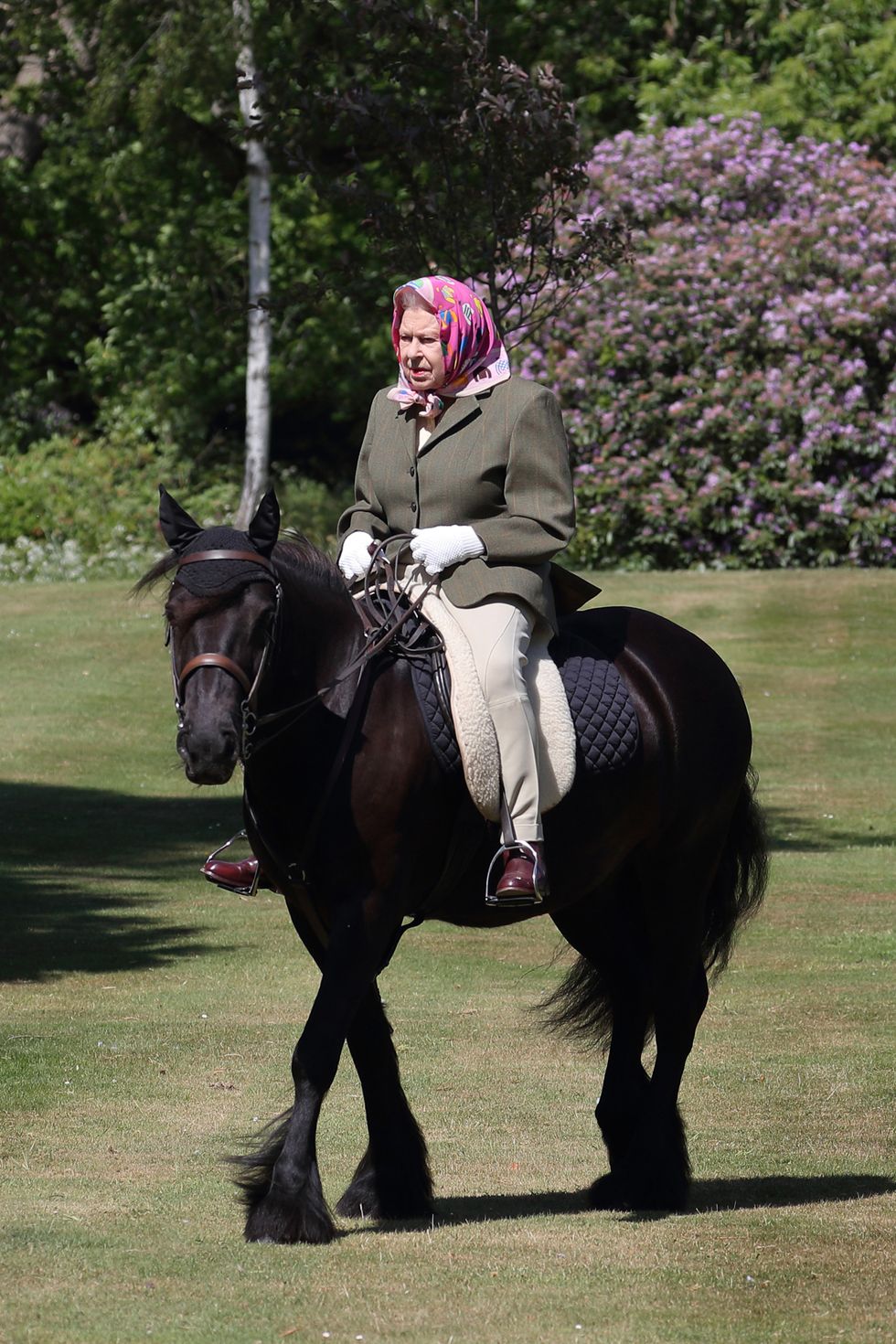 The Queen takes a special horse ride