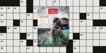 issue 26, crossword