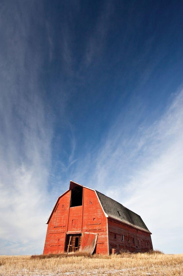 a weathered red barn in a dry field beneath a blue sky in point reyes, california.