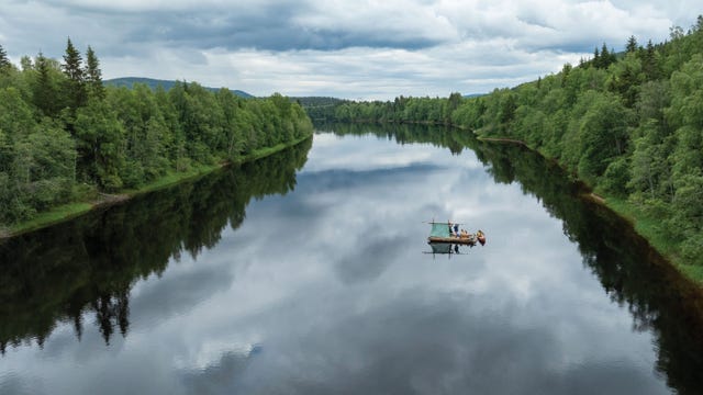 aerial view of dense swedish pine forest near the klarälven river, seen from above.