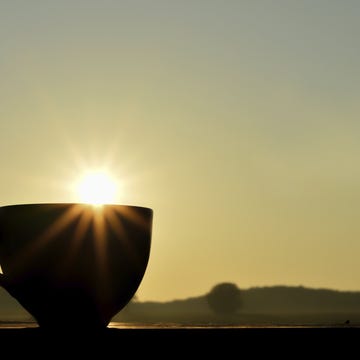 Coffee Cup in Morning Sun Coffee