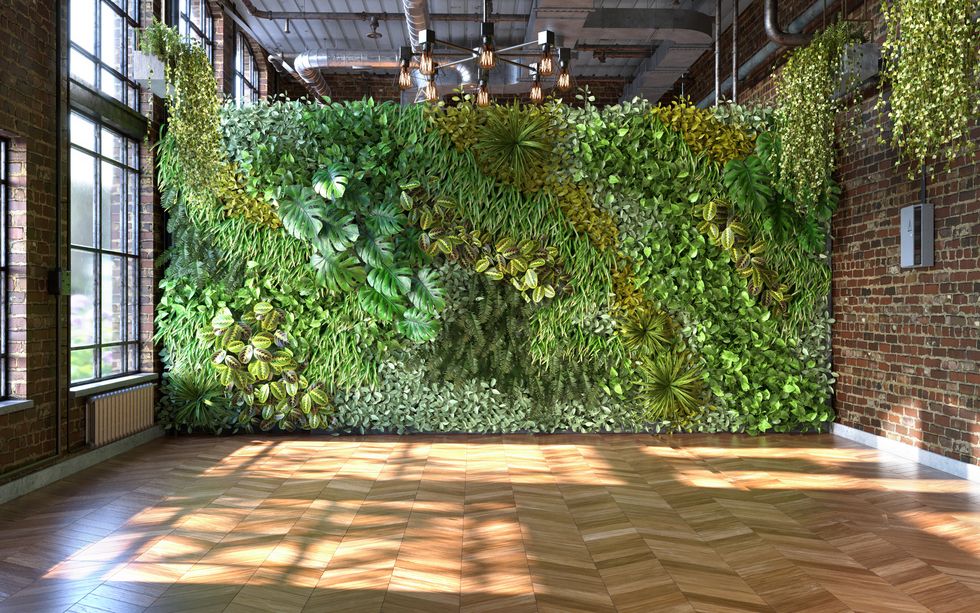 15 ideas de PLANTAS ARTIFICIALES DECORATIVAS  plantas artificiales, plantas,  decoración de unas