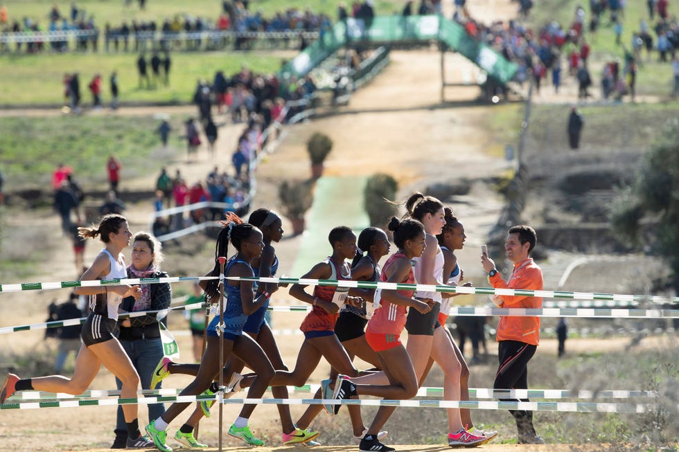 sports, running, recreation, athletics, individual sports, athlete, cross country running, exercise, crowd, multi sport event,