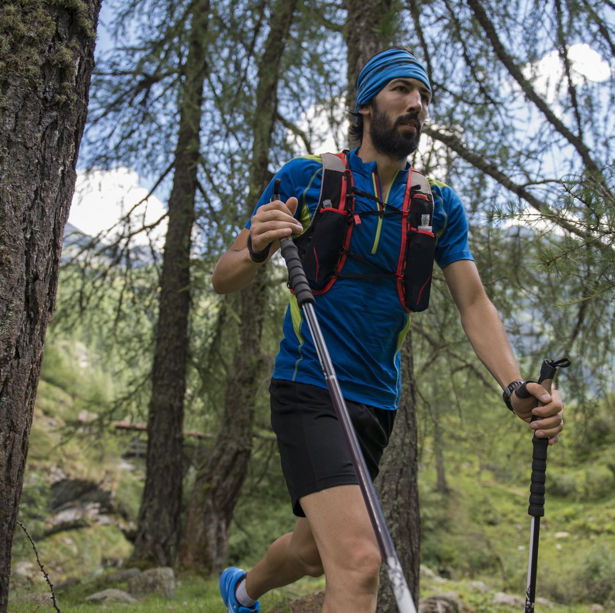 https://hips.hearstapps.com/hmg-prod/images/italy-alagna-trail-runner-on-the-move-in-forest-royalty-free-image-1628144496.jpg?crop=0.670xw:1.00xh;0.199xw,0&resize=1200:*