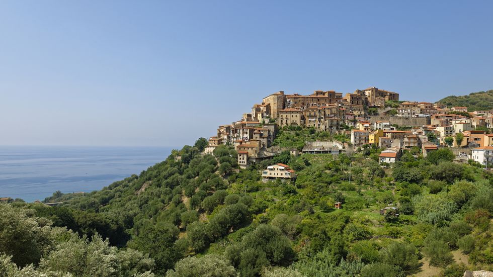 cilento