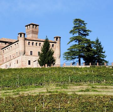 italy, panorama of vineyards of piedmont langhe roero and monferrato on the world heritage list unesco the castle of grinzane cavour italy, piedmont, vieneyards
