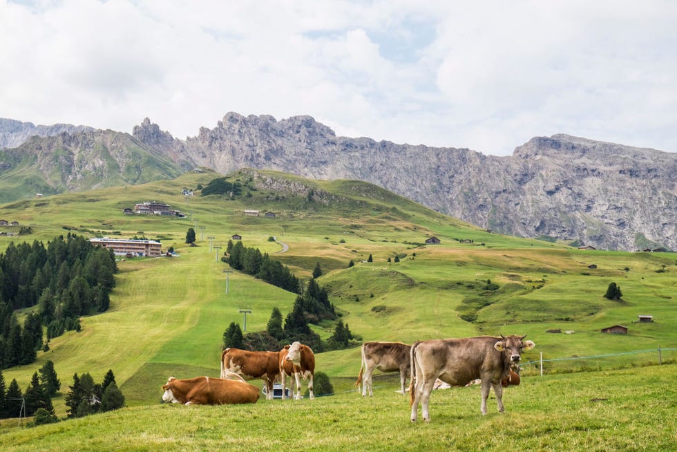 alpi di siusi
