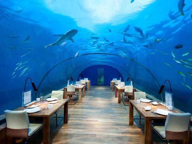Underwater, Restaurant, Aquarium, Room, Building, Business, Fish, Vacation, Tourism, Fish, 