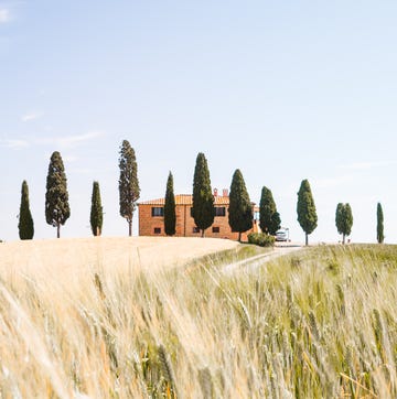 itinerario enogastronomico toscana