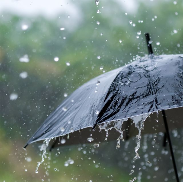 it's raining heavily, wearing an umbrella during the rainy season